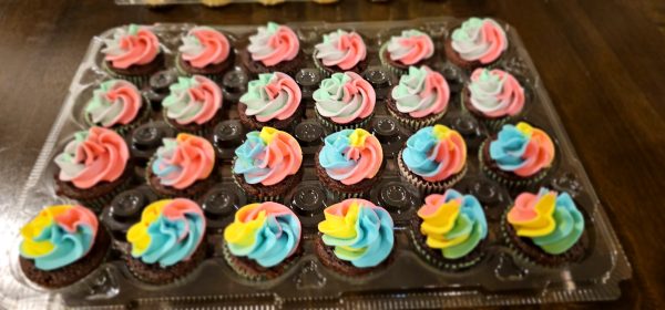 20240427_001910 Assorted Mini Cupcake Box